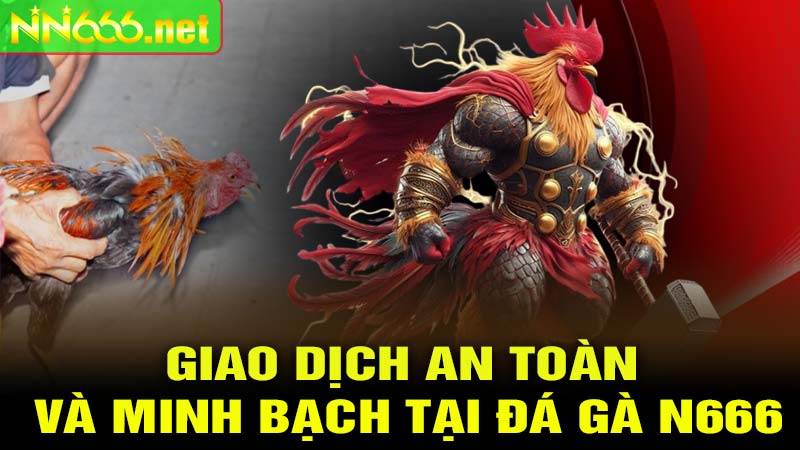 Giao Dịch An Toàn Và Minh Bạch Tại ĐÁ GÀ N666