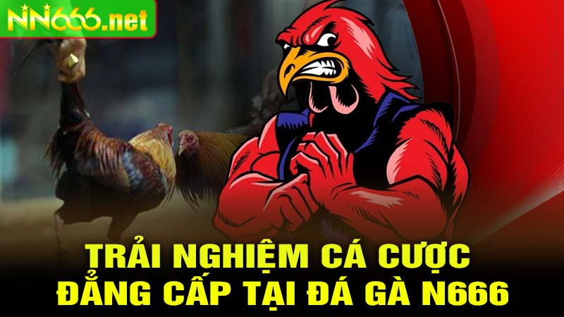 Trải Nghiệm Cá Cược Đẳng Cấp Tại ĐÁ GÀ N666
