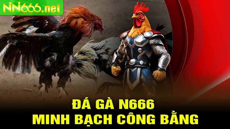 Tỷ Lệ Cược Minh Bạch Và Công Khai Tại ĐÁ GÀ N666