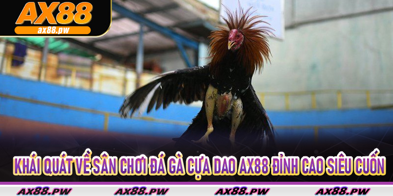 Khái quát về sân chơi Đá Gà Cựa Dao Ax88 đỉnh cao siêu cuốn