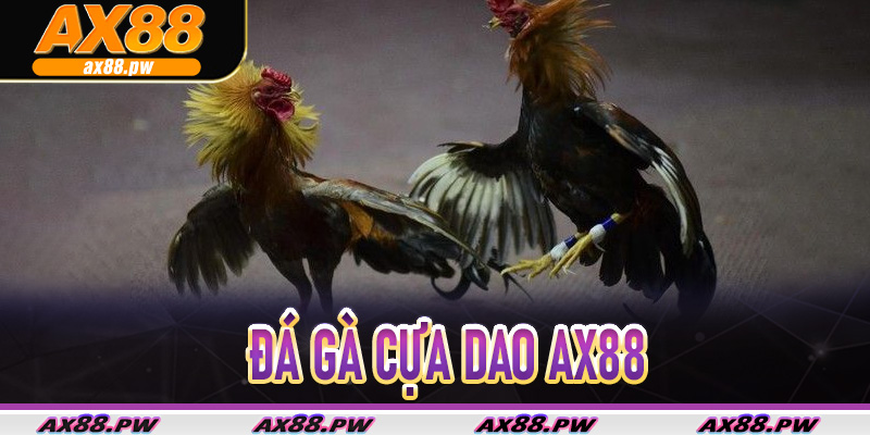Đá gà cựa dao Ax88