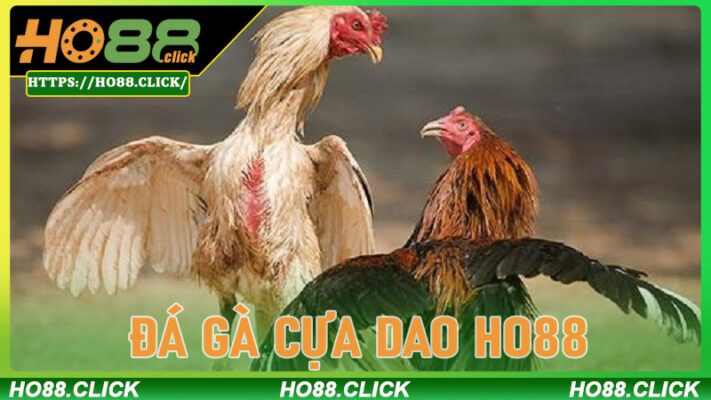 Đá Gà Cựa Dao ho88 – Thế Giới Tốc Chiến Của Những Sát Kê Bất Bại